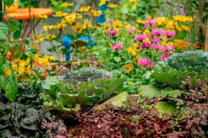 jardin-permaculture