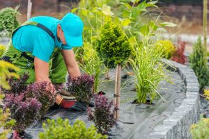 Comment entretenir son jardin au fil des saisons sans y passer des heures ?